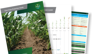 Three documents stacked atop one another, with images of corn crops and data sets on their covers.