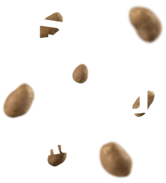 Flying potatoes around a copy block that reads 'Power Packed Protection'. 