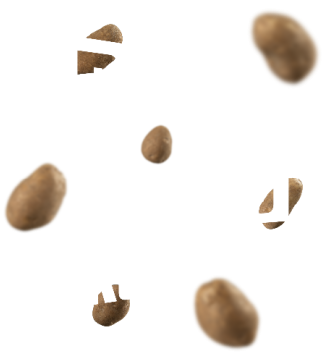 Flying potatoes around a copy block that reads 'Power Packed Protection'. 