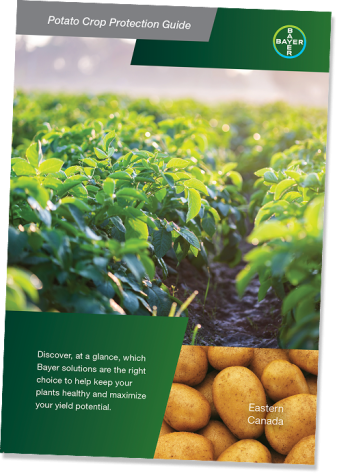 Cover of the Potato Crop Protection Guide showing a field of a flowering potato plants and a close-up of several potatoes.