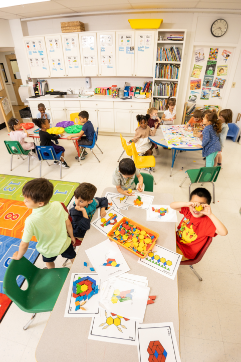 Primary School Image