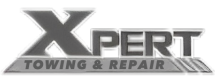 Xpert Logo