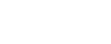 DevriX WordPress Agency Logo