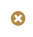 X Mark Icon