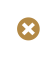 X Mark Icon
