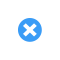 X Mark Icon