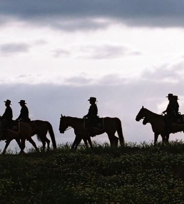 Aerial view of Phoenix neighborhoods with downtown skyline and mountains in the background.