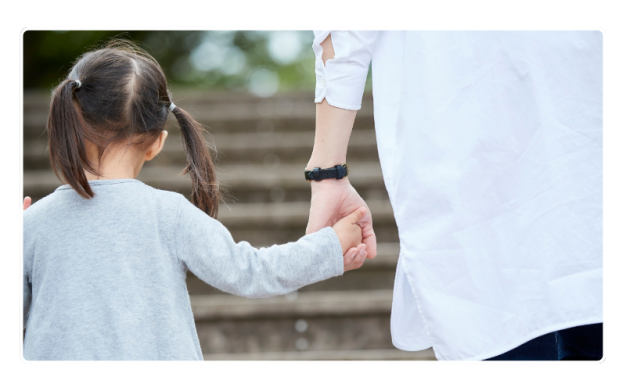 Child Custody Disputes