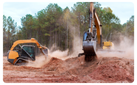 Cleared/Developed Land