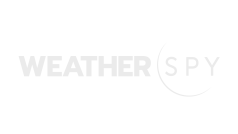 WeatherSpy logo white with transparent background