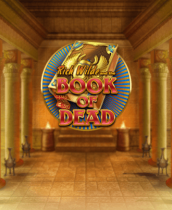 Dealer hosting Casumo Live Roulette game.