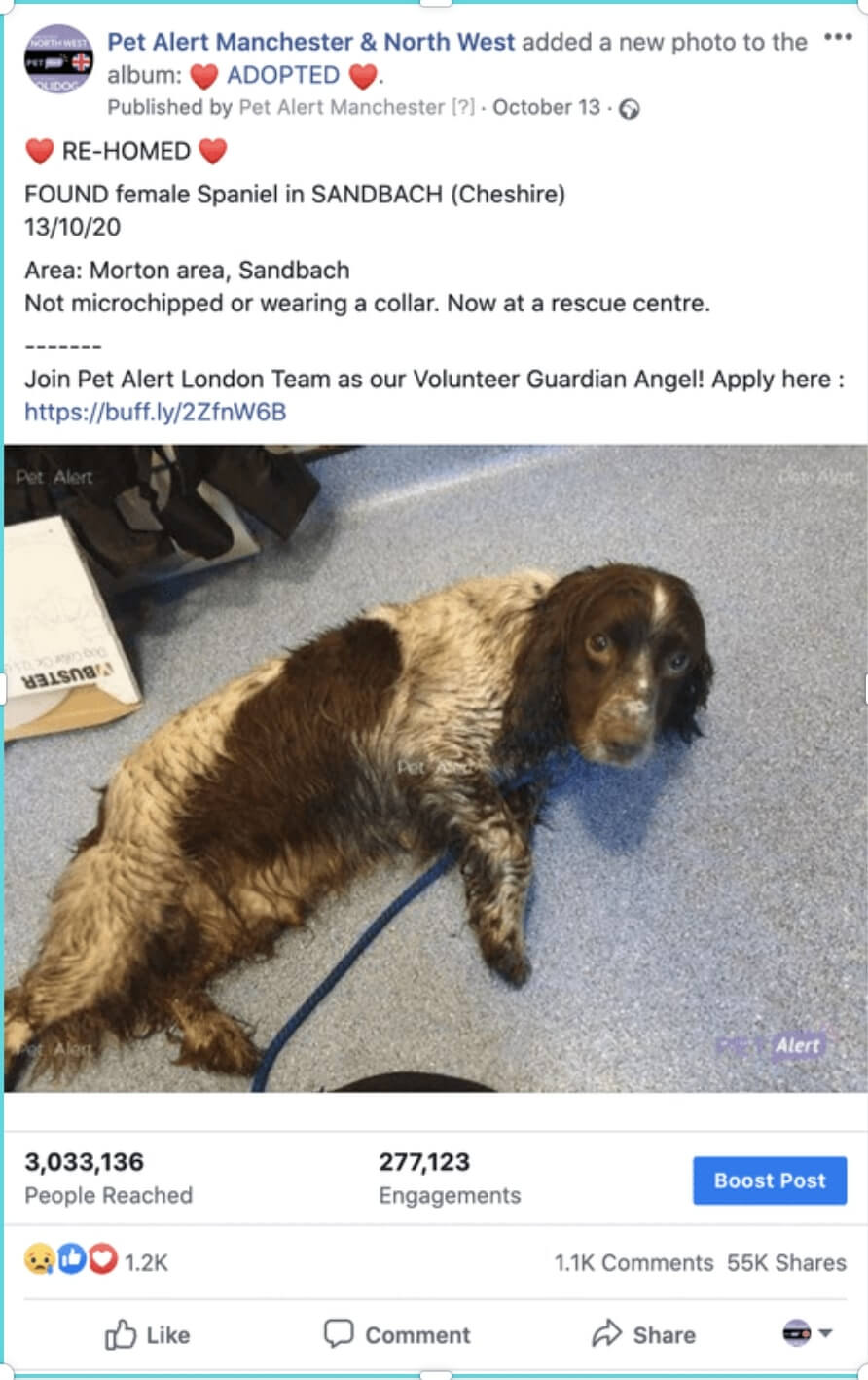 Pet Alert in the UK