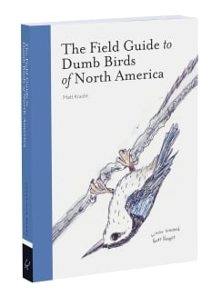 Disappointing Affirmations Postcards 