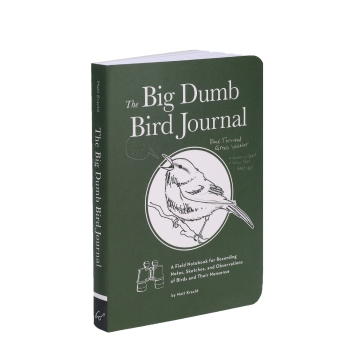 Disappointing Affirmations Postcards 