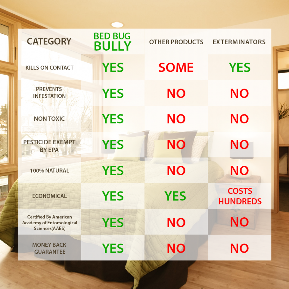 What Is Bed Bug Bully : Bed Bug Bully Review – IBZKVQ