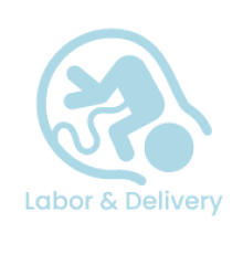 Labor & Delivery Icon