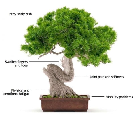 Accurate Clinical Tree