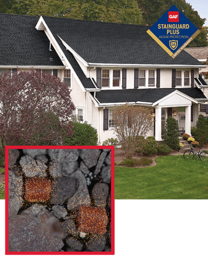 Blueskin Premium Features