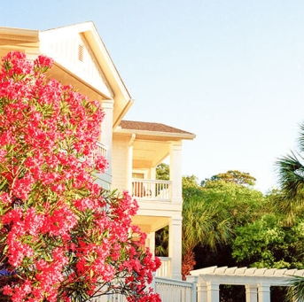 Flowers outside of luxury home