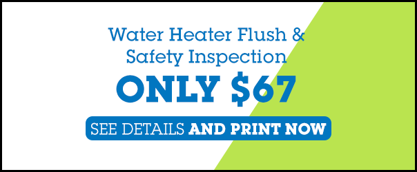 water heater flush and inspection coupon