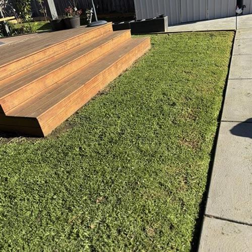 Bakery employee and customer