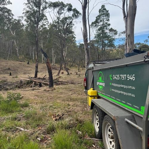 Bakery employee and customer