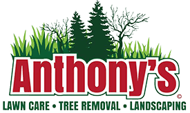 Anthony's Lawn Care • Tree Removal • Landscaping logo