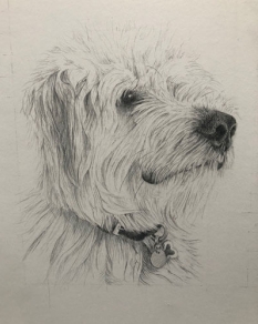 Portrait of a dog
