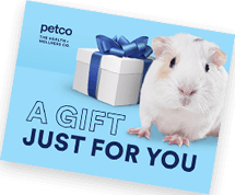 Image of a petco giftcard