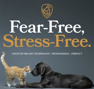 Fear-Free, Stress-Free. State-of-the-Art-Technology | Professional | Perfect image of cat and dog