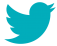 Twitter icon