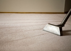 Vacuuming carpet