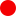 oval icon