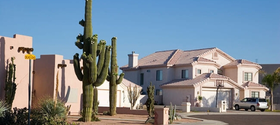 Houses with cactus out front