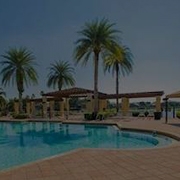 Image of large pool with palm trees