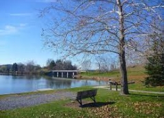 Photo of Mainline Canal