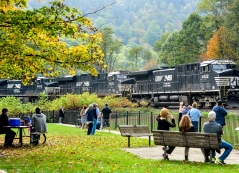 Photo of observers watching a train pass through a park