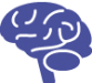 brain icon