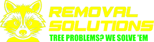Removal Solutions | Tree Problems? We Solve 'Em