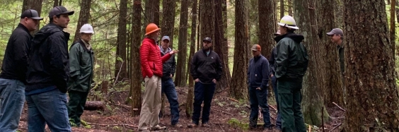 The AFRC team in the middle of the forest