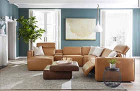 leather sofa image