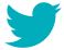 Twitter icon