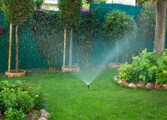 Grass being watered with sprinkler 