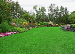 Nice landscaping and grass yard