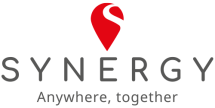 Synergy Logo