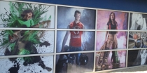 window vinyl graphics