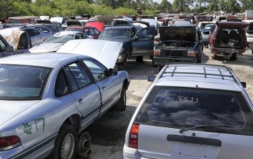Junk Cars