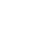 Linkedin Icon White