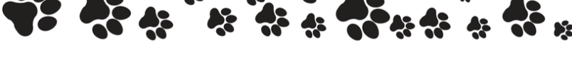 Paw Prints