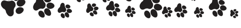 Paw Prints